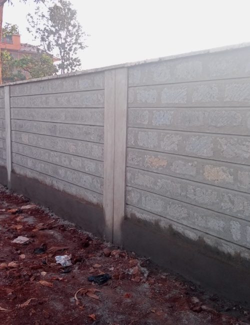 St. Patrick Primary School